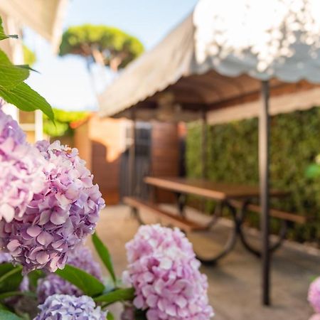 Apartment Holiday Versilia Camaiore Exterior foto